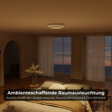 Radio Kirchner Aurelia Deckenleuchte