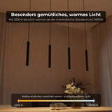 Radio Kirchner Learis Pendelleuchte