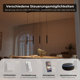 Radio Kirchner Learis Pendelleuchte