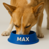 Premium Personalized Dog/Cat Food Bowl - Stylish and Unique - Premium Quality