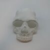 Premium Skull Mask - Realistic and Detailed CoD MWII - Premium Quality