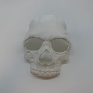 Premium Skull Mask - Realistic and Detailed CoD MWII - Premium Quality